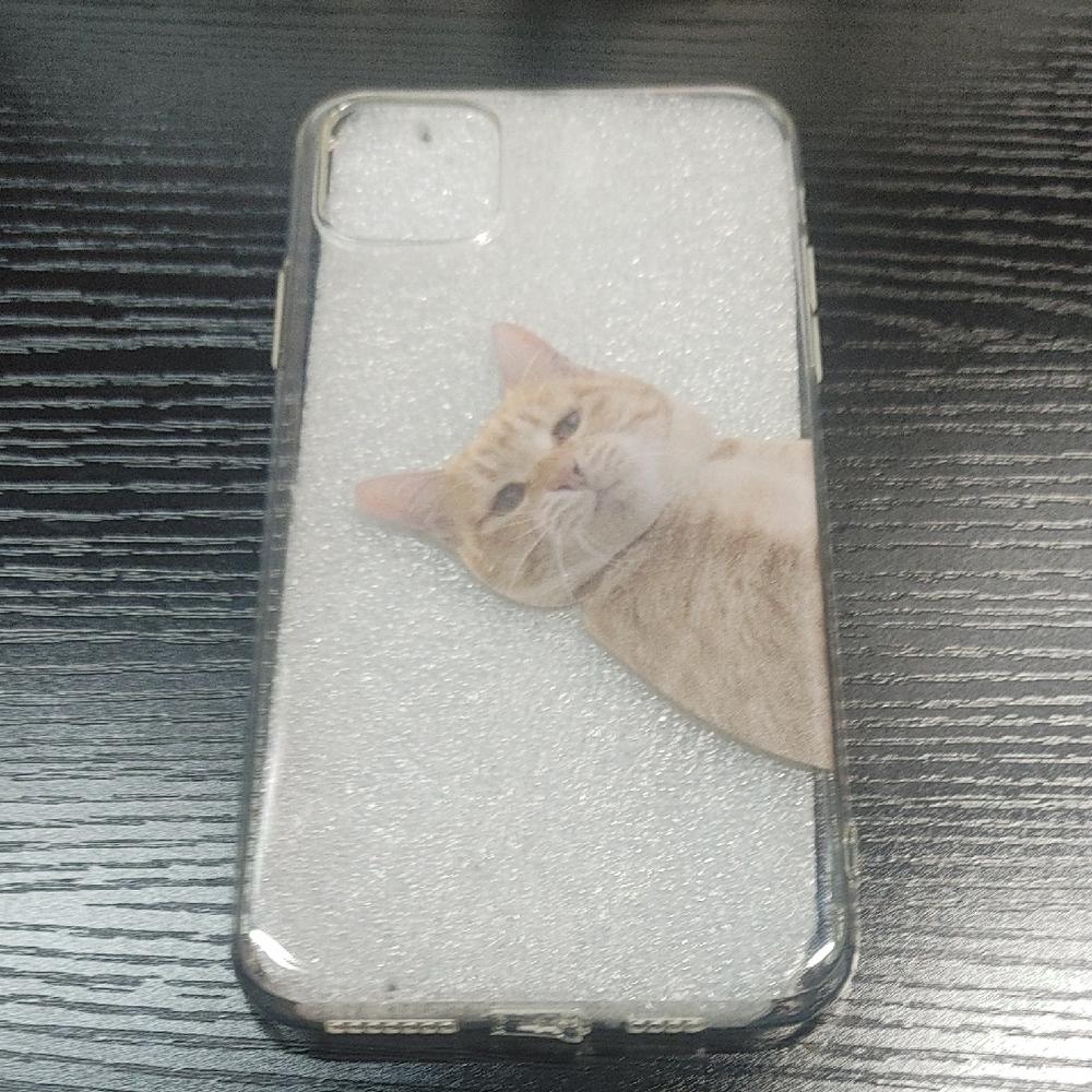 iPhone 12 Pro Max Case Orange Cat Meme - Clear Protective Case